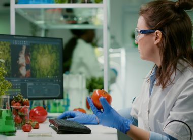Food, Nutrition & Safety Sciences
